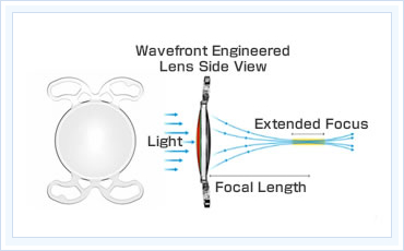 レンズにおける収差(光がレンズを通過する際に発生する焦点を結ばない光)を利用し焦点の幅が広げられているものをプログレッシブ型と呼びます。