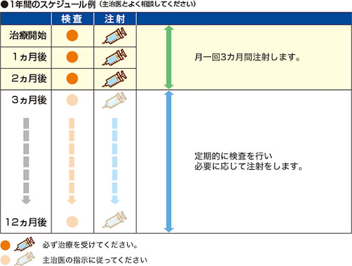 1年間のスケジュール例